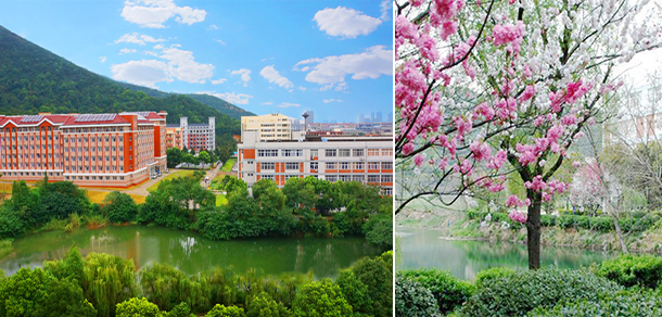 我的大學(xué)-大學(xué)志