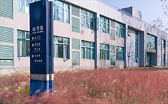 歷史沿革(概)校史