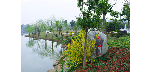 浙江財經(jīng)大學東方學院 - 最美大學