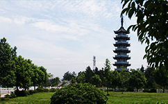 歷史沿革(概)校史