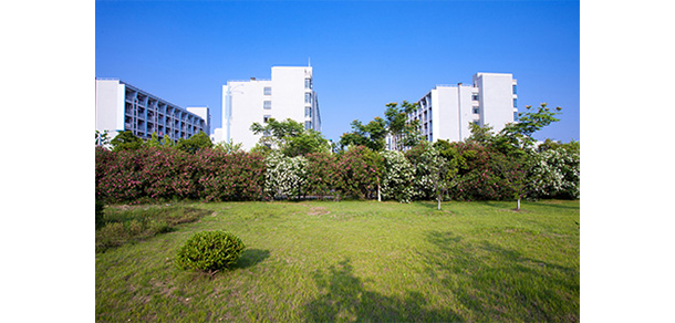 浙江金融職業(yè)學院 - 最美大學