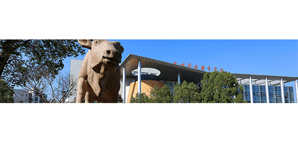 我的大學-大學志
