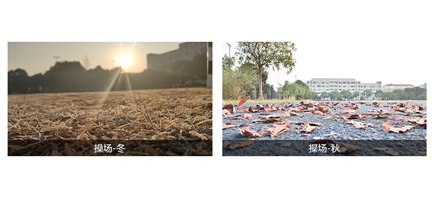 2022年招生分?jǐn)?shù)