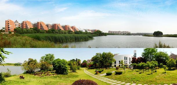 我的大學(xué)-大學(xué)志