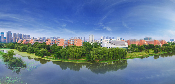 我的大學(xué)-大學(xué)志