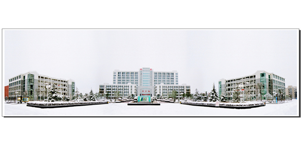 我的大學(xué)-大學(xué)志