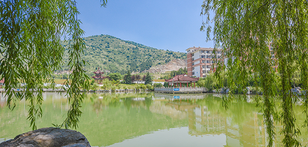 我的大學(xué)-大學(xué)志