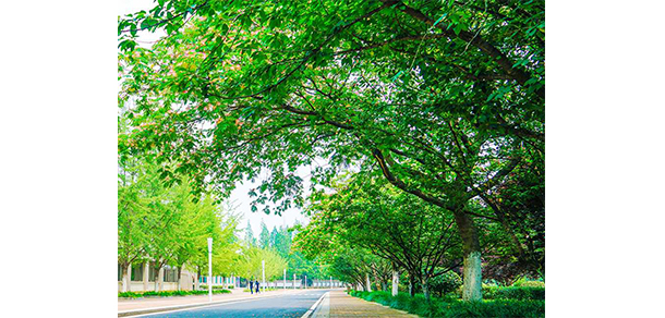 我的大學(xué)-大學(xué)志