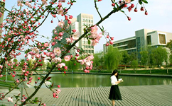 招生公告 · 招生簡(jiǎn)章 · 招生計(jì)劃