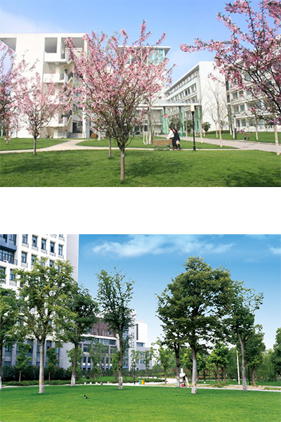 合肥大學 - 流金歲月