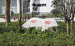 招生公告 · 招生簡(jiǎn)章 · 招生計(jì)劃
