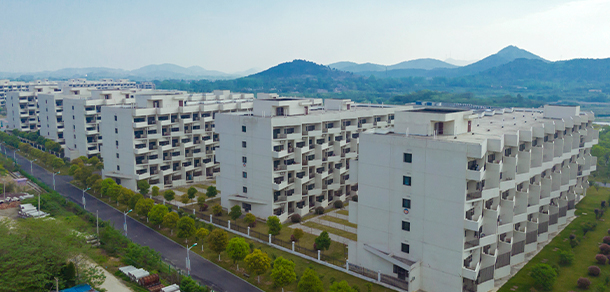 我的大學(xué)-大學(xué)志