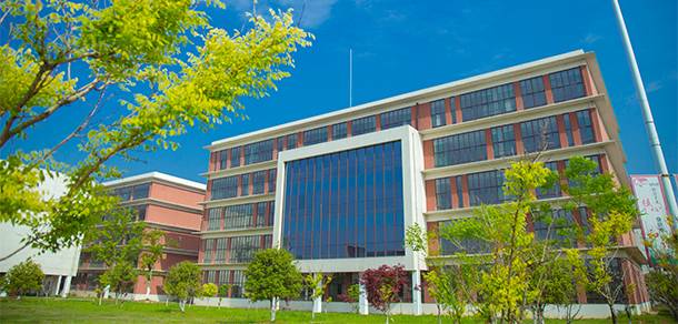 我的大學(xué)-大學(xué)志