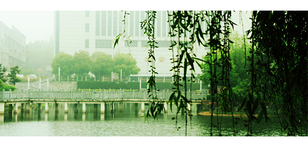 我的大學(xué)-大學(xué)志