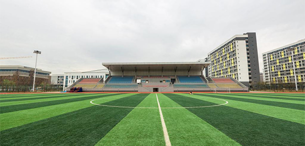 我的大學(xué)-大學(xué)志