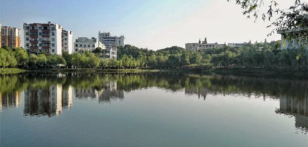 我的大學(xué)-大學(xué)志