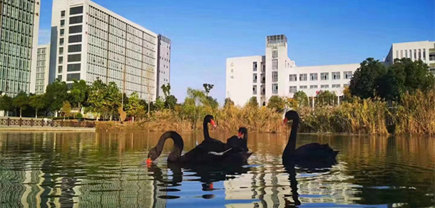 我的大學(xué)-大學(xué)志