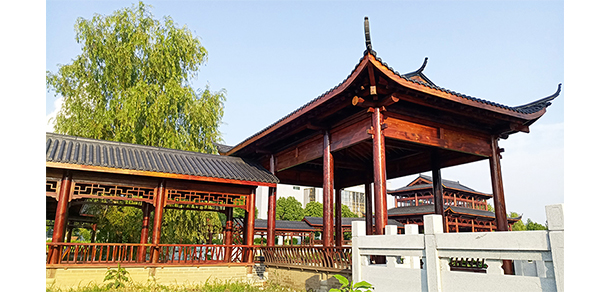 安慶職業(yè)技術(shù)學(xué)院