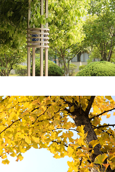 安徽國際商務(wù)職業(yè)學院