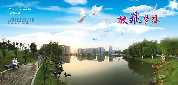 安慶醫(yī)藥高等?？茖W(xué)校
