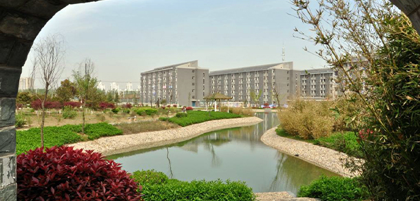 我的大學(xué)-大學(xué)志