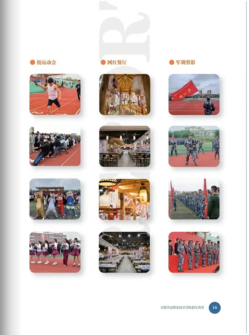 合肥共達職業(yè)技術(shù)學(xué)院－2024年分類考試招生宣傳冊