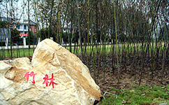 歷史沿革(概)校史