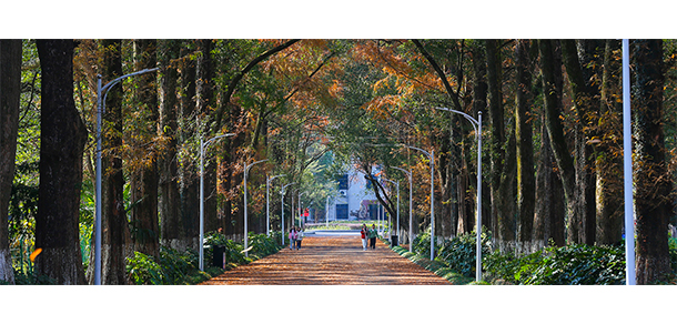 我的大學-大學志