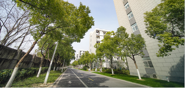 我的大學(xué)-大學(xué)志