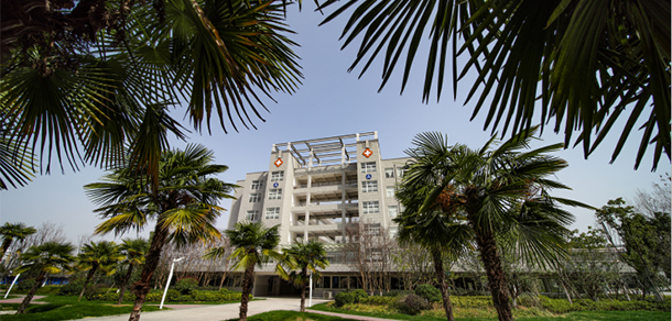 我的大學(xué)-大學(xué)志