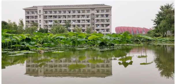 銅陵職業(yè)技術(shù)學(xué)院