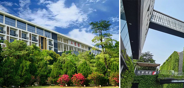 我的大學-大學志