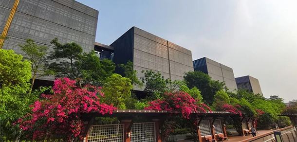 我的大學-大學志