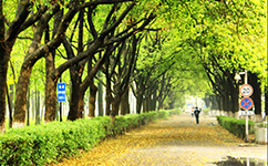 福建體育職業(yè)技術(shù)學院 - 我的大學