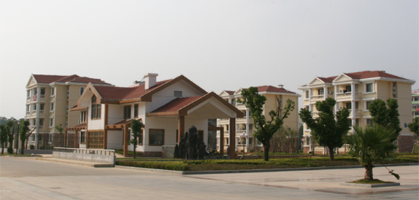我的大學-大學志