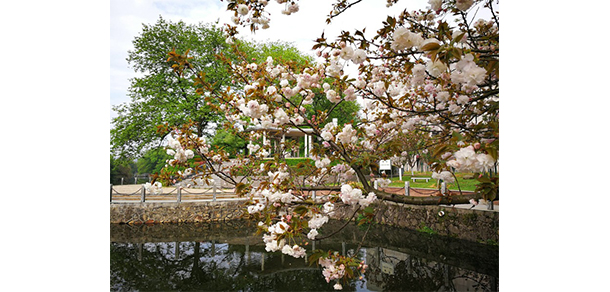 我的大學(xué)-大學(xué)志