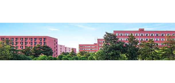 我的大學(xué)-大學(xué)志
