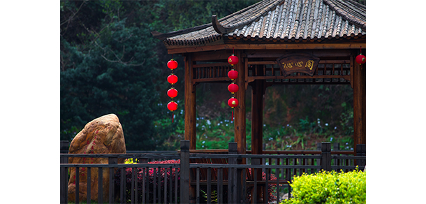 萍鄉(xiāng)衛(wèi)生職業(yè)學院 - 最美大學