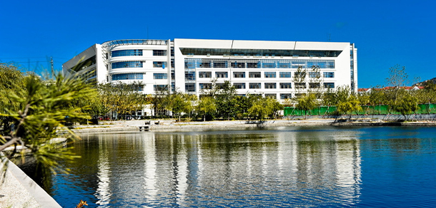 山東大學 - 最美大學