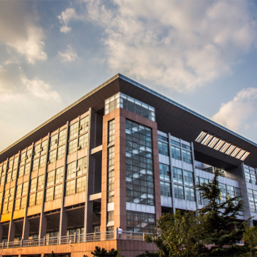魯東大學-大學文化