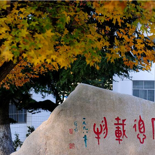 魯東大學-早安青春