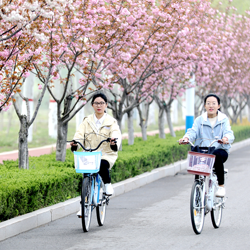 臨沂大學(xué) - 風(fēng)起四海，各自珍重