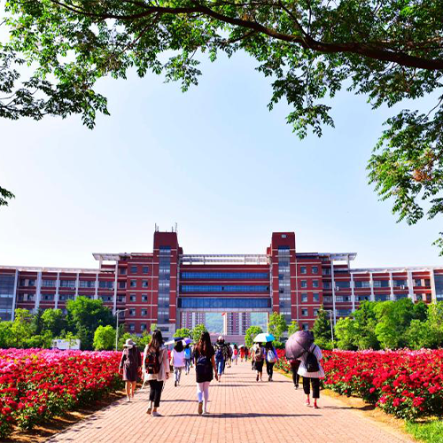 我的大學