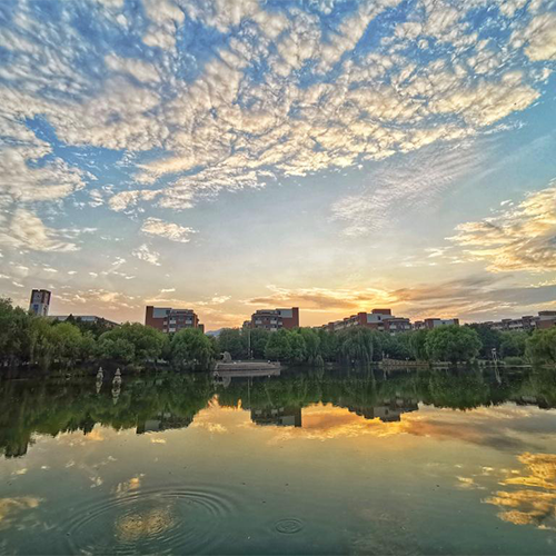 我的大學
