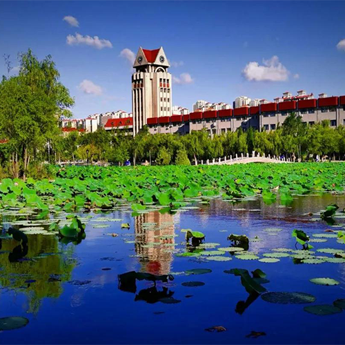 我的大學(xué)