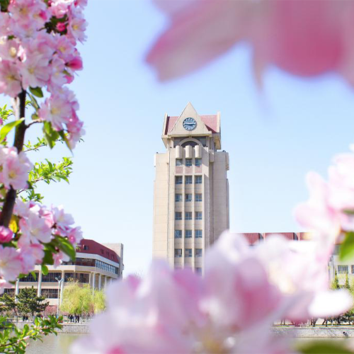 煙臺大學(xué)-早安青春