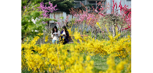 山東工商學院 - 最美大學