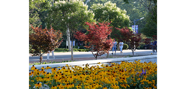 山東工商學院 - 最美大學
