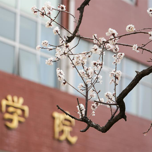 陌上花開