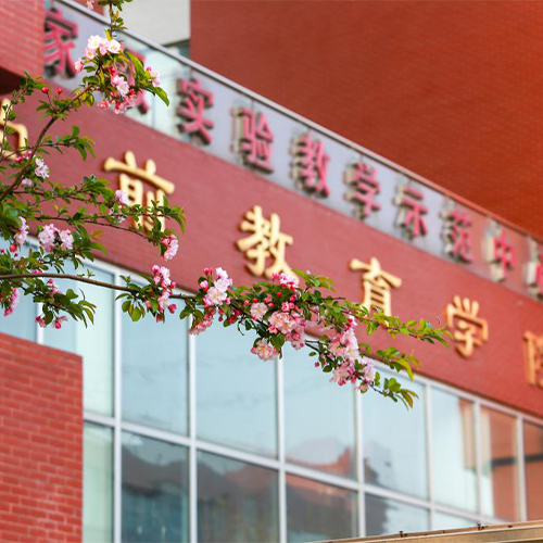 你好青春